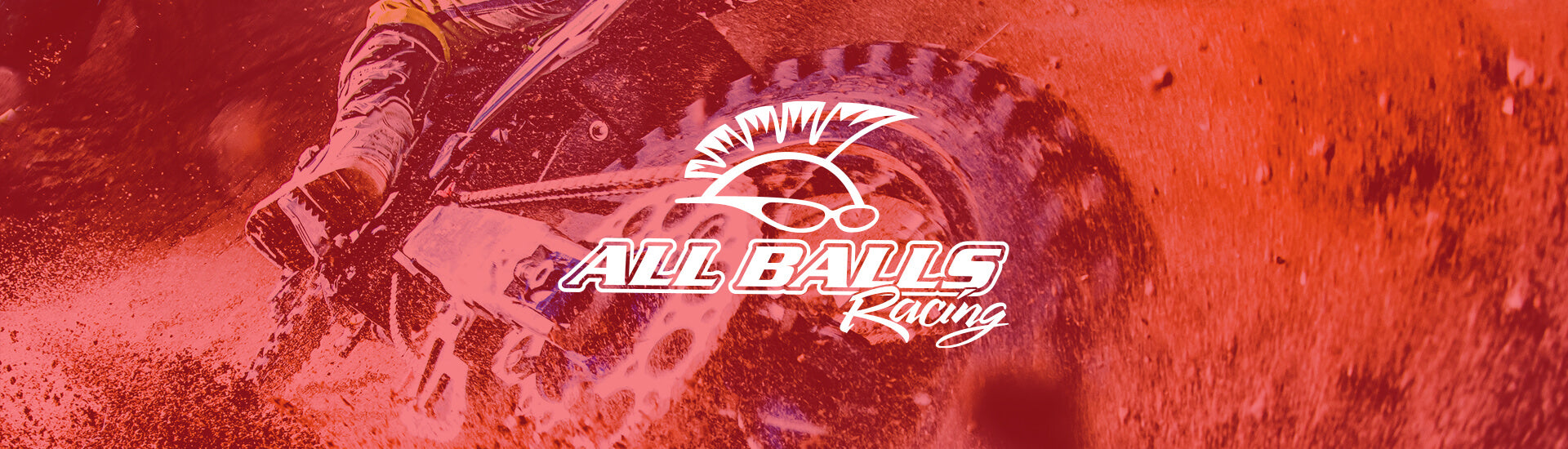 All Balls Racing