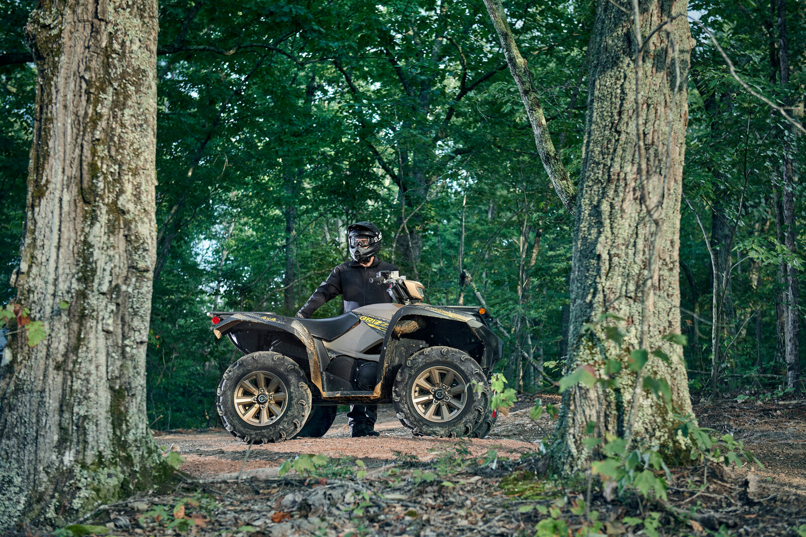 YAMAHA ATV - GRIZZLY 700 SE