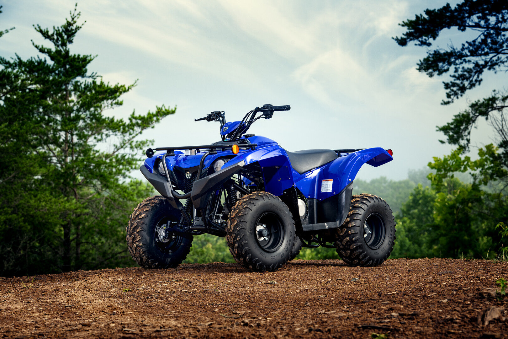 YAMAHA FUN GRIZZLY 90