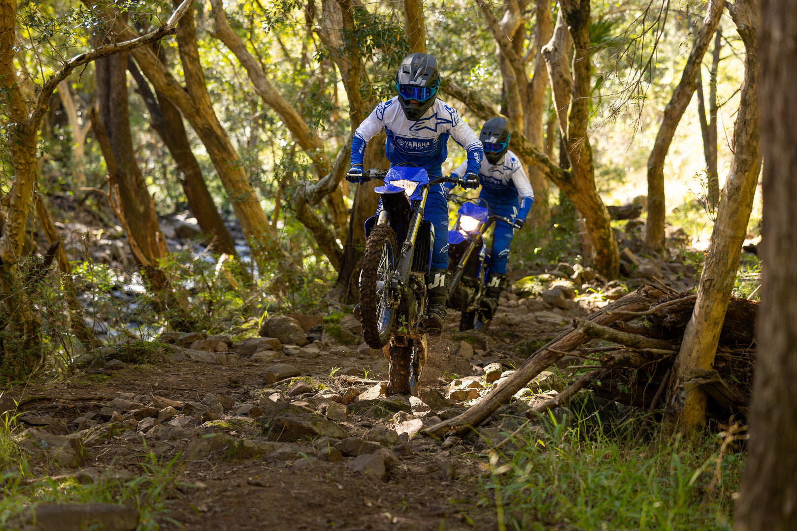 YAMAHA COMP BIKE - WR450F