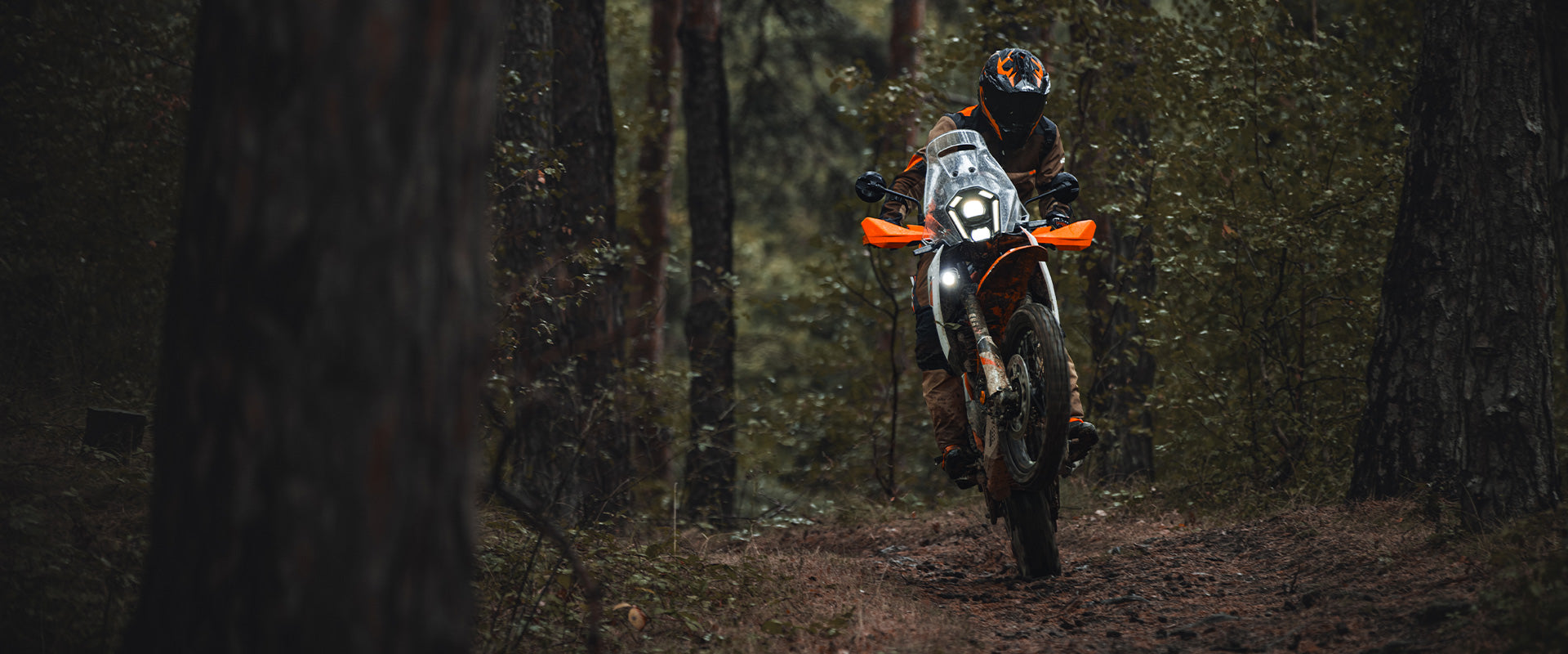 KTM 390 ADVENTURE R 2025