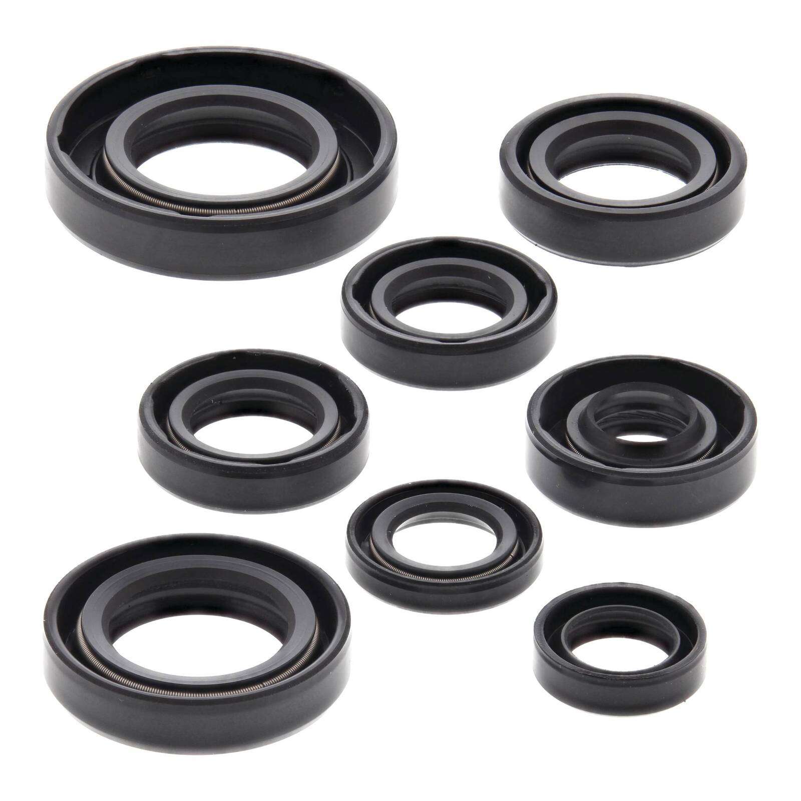 Oil Seal Kit 822181