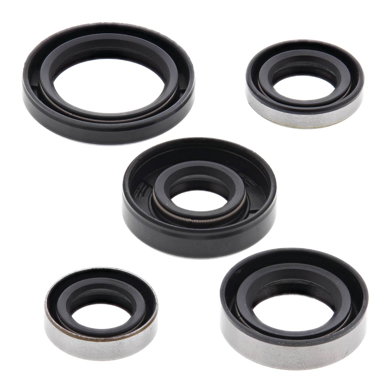 Oil Seal Kit 822216