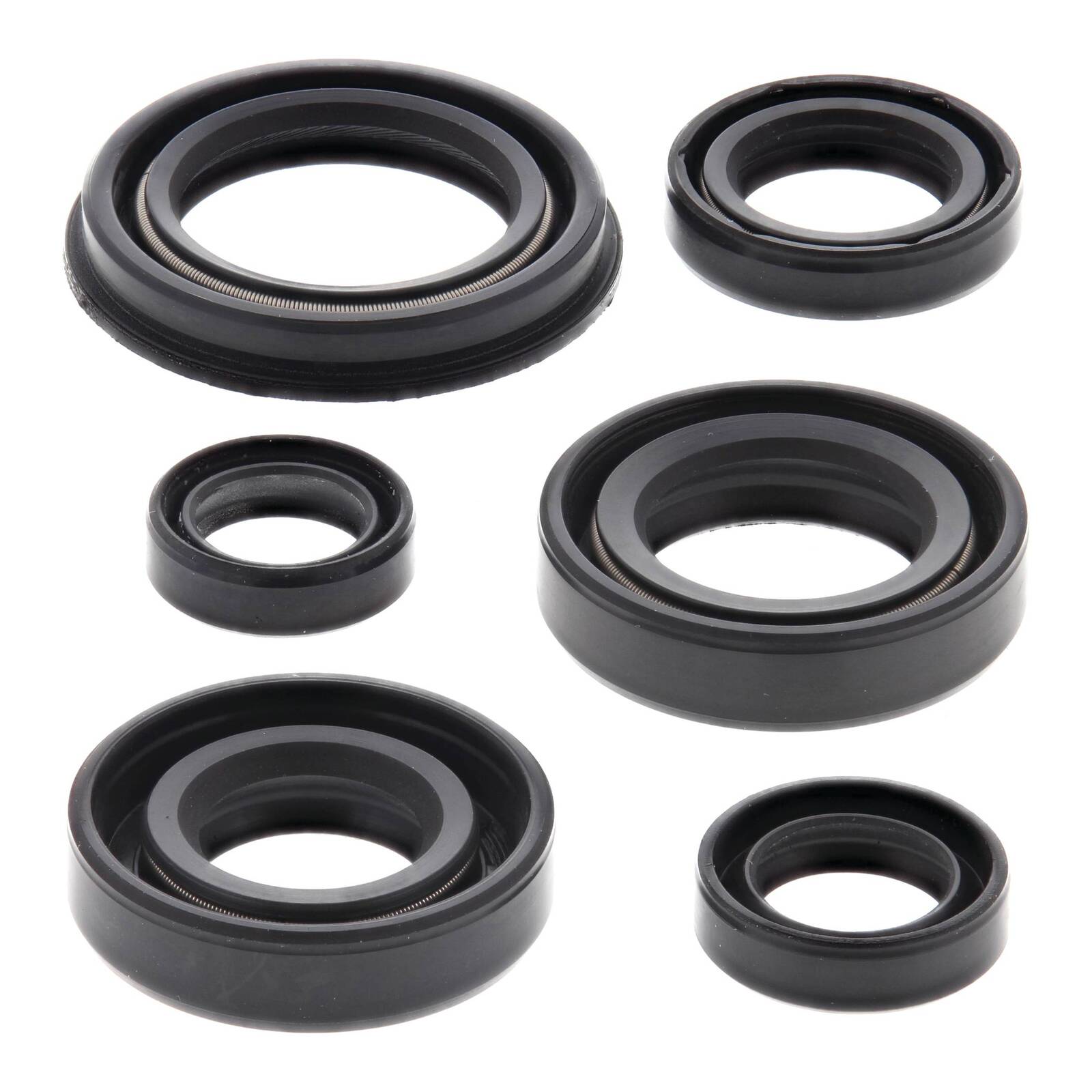 Oil Seal Kit 822220