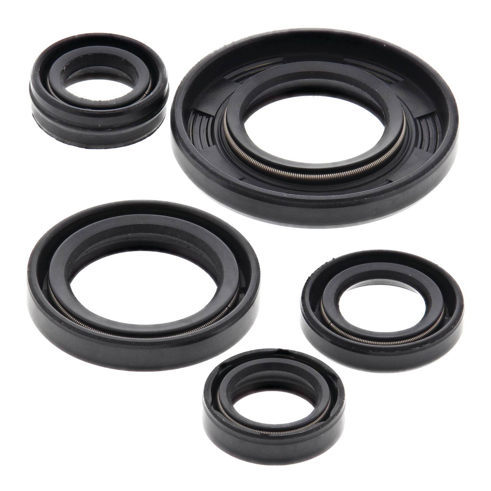 Oil Seal Kit 822240