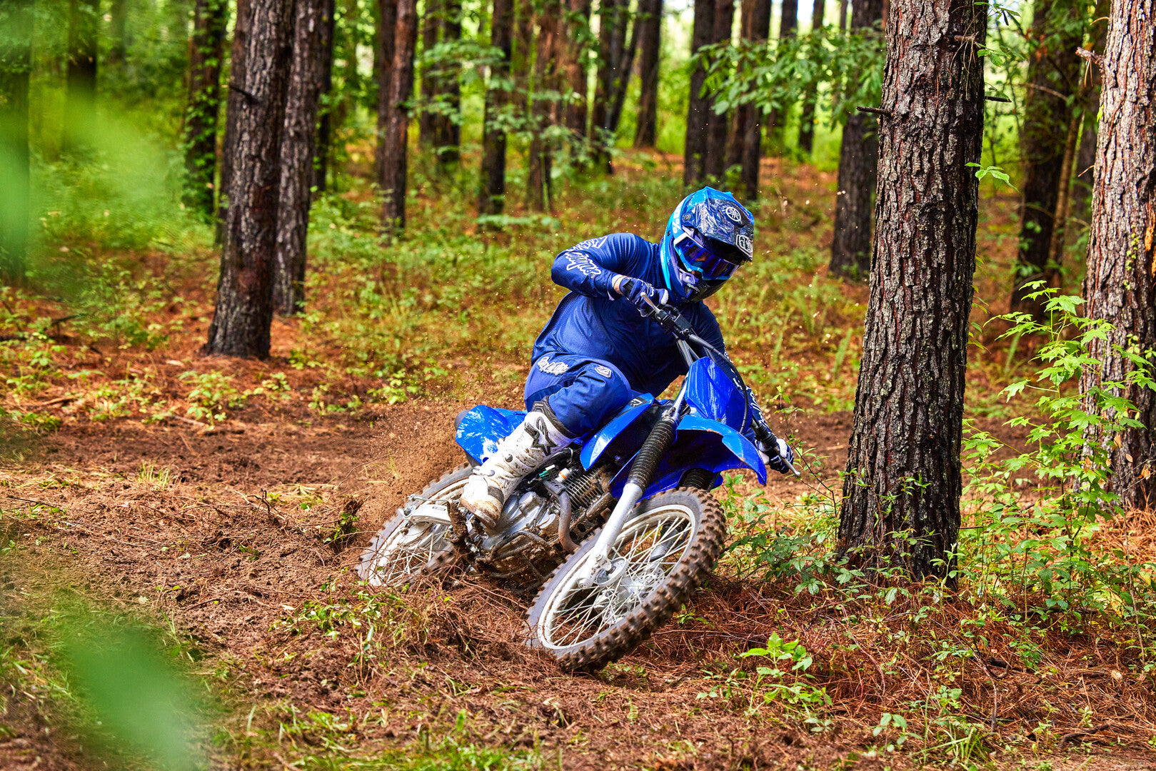 YAMAHA TTR230