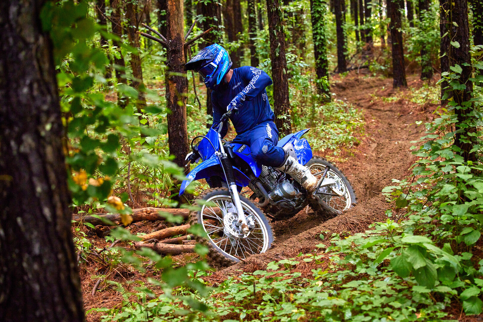 YAMAHA TTR230