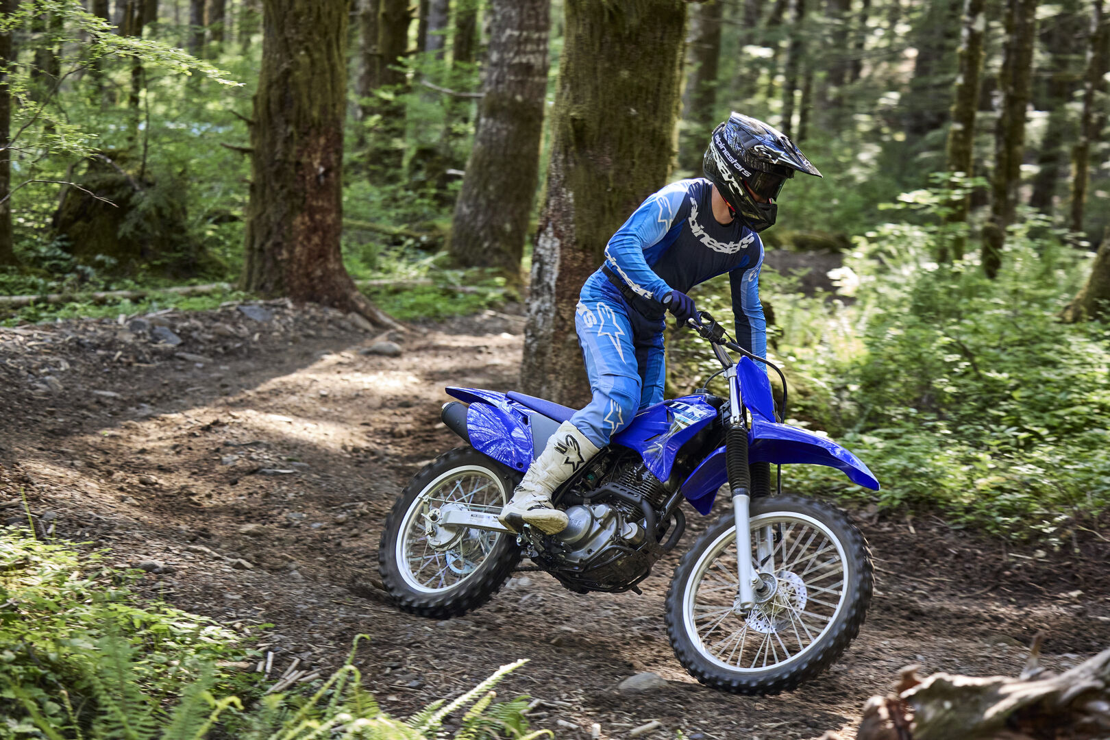 YAMAHA TTR230 2025