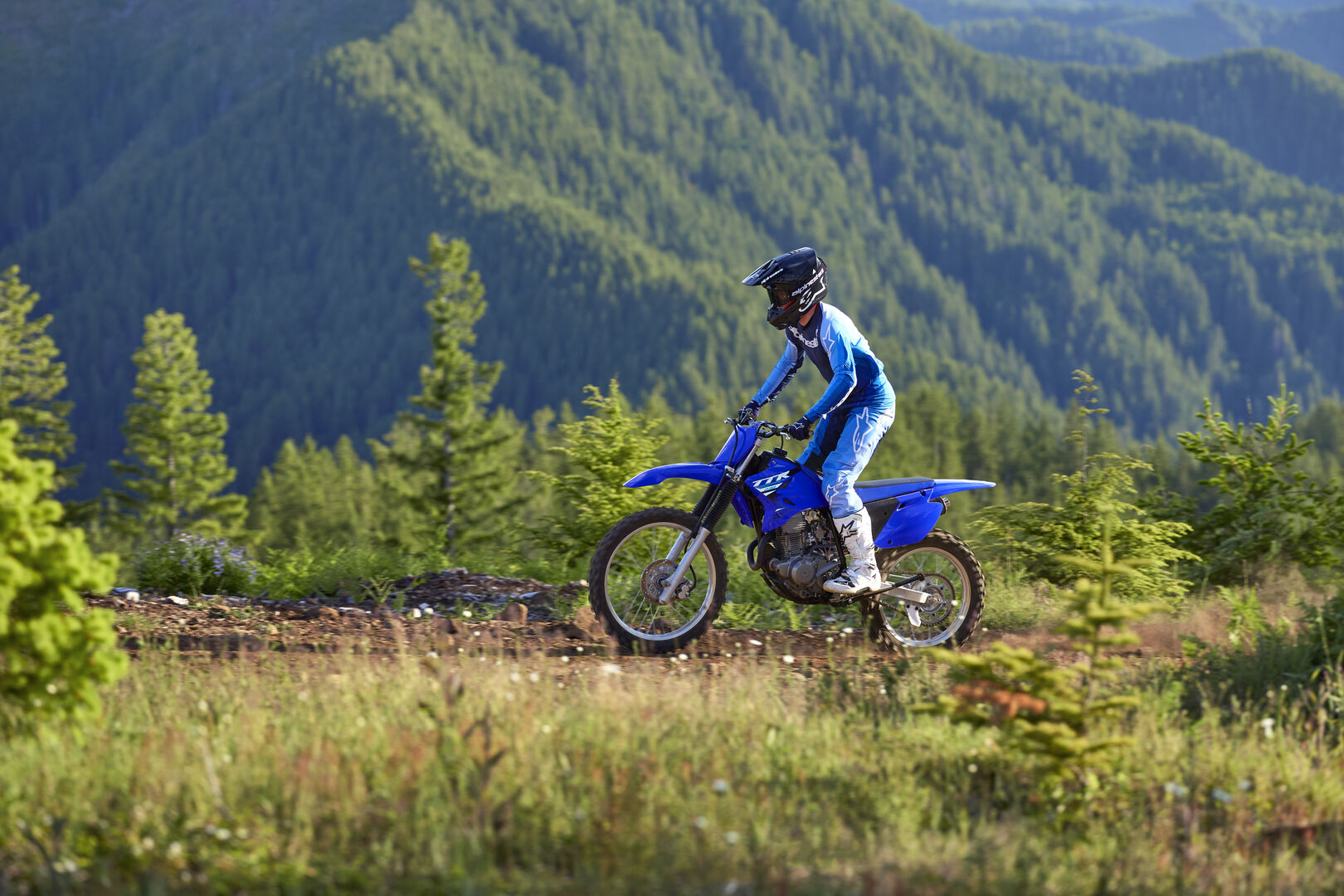 YAMAHA TTR230 2025