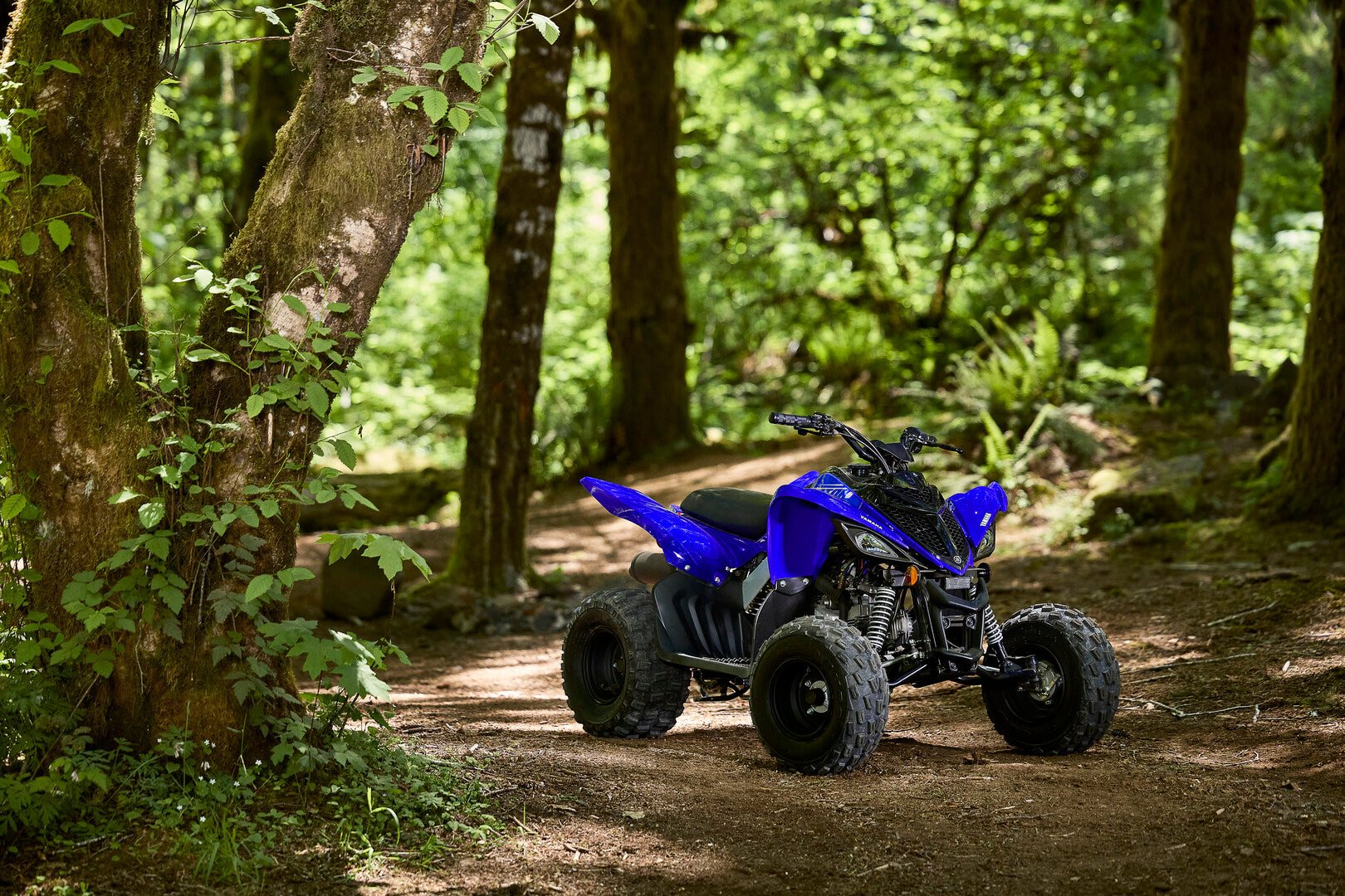 YAMAHA RAPTOR 110 2026