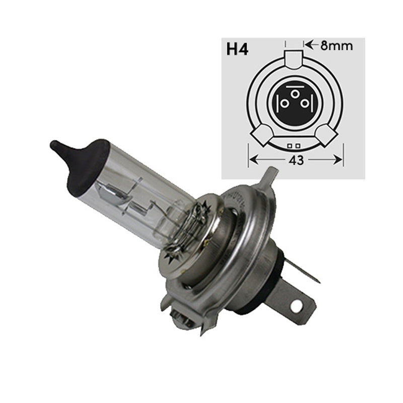A44123535M5: M5 Bosch Pin 12V 35/35W Halogen Lamp / Halogen Lightbulb