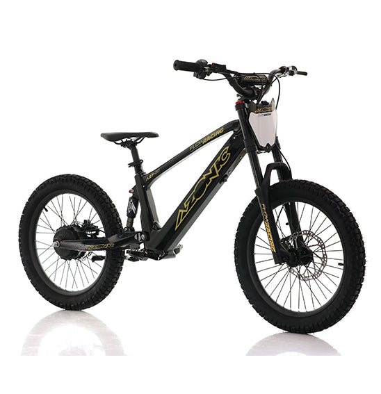 AZONIC Flow 20 (AZF-20) - Electric Balance Bike