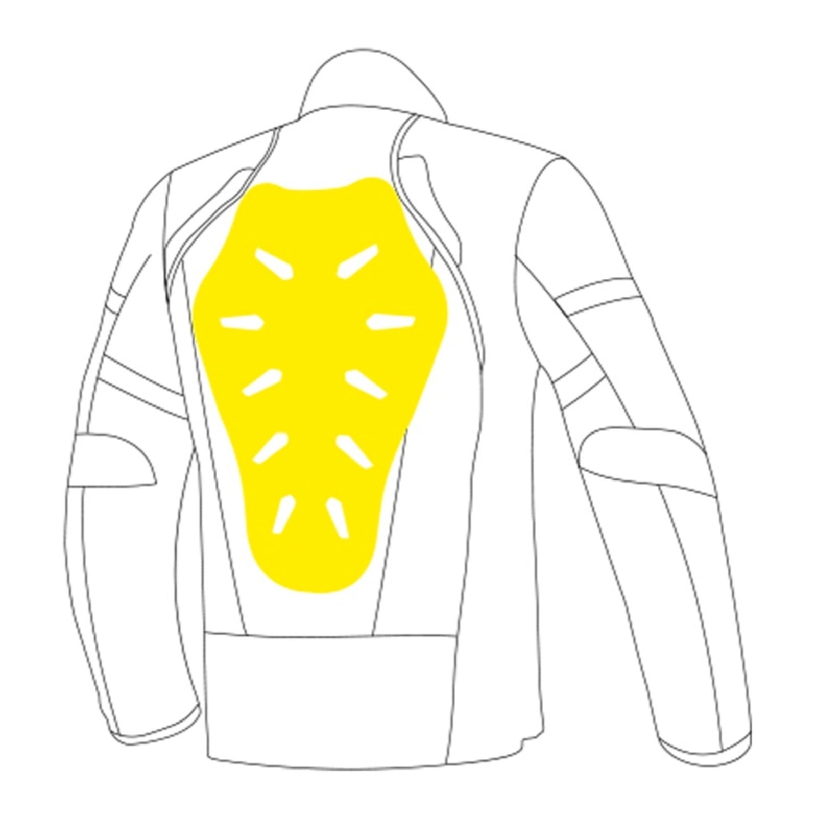 LS2 Back Protector L