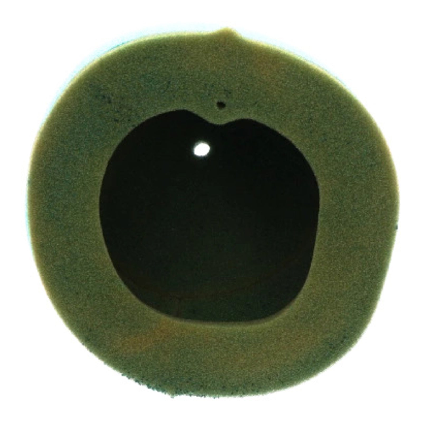 Twin Air Pre-Oiled Air Filter Yamaha YZ125/250 YZF / WRF250F