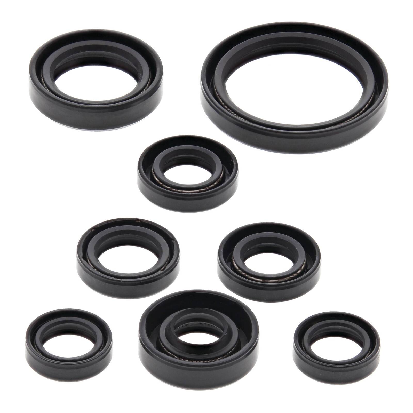 Oil Seal Kit 822167