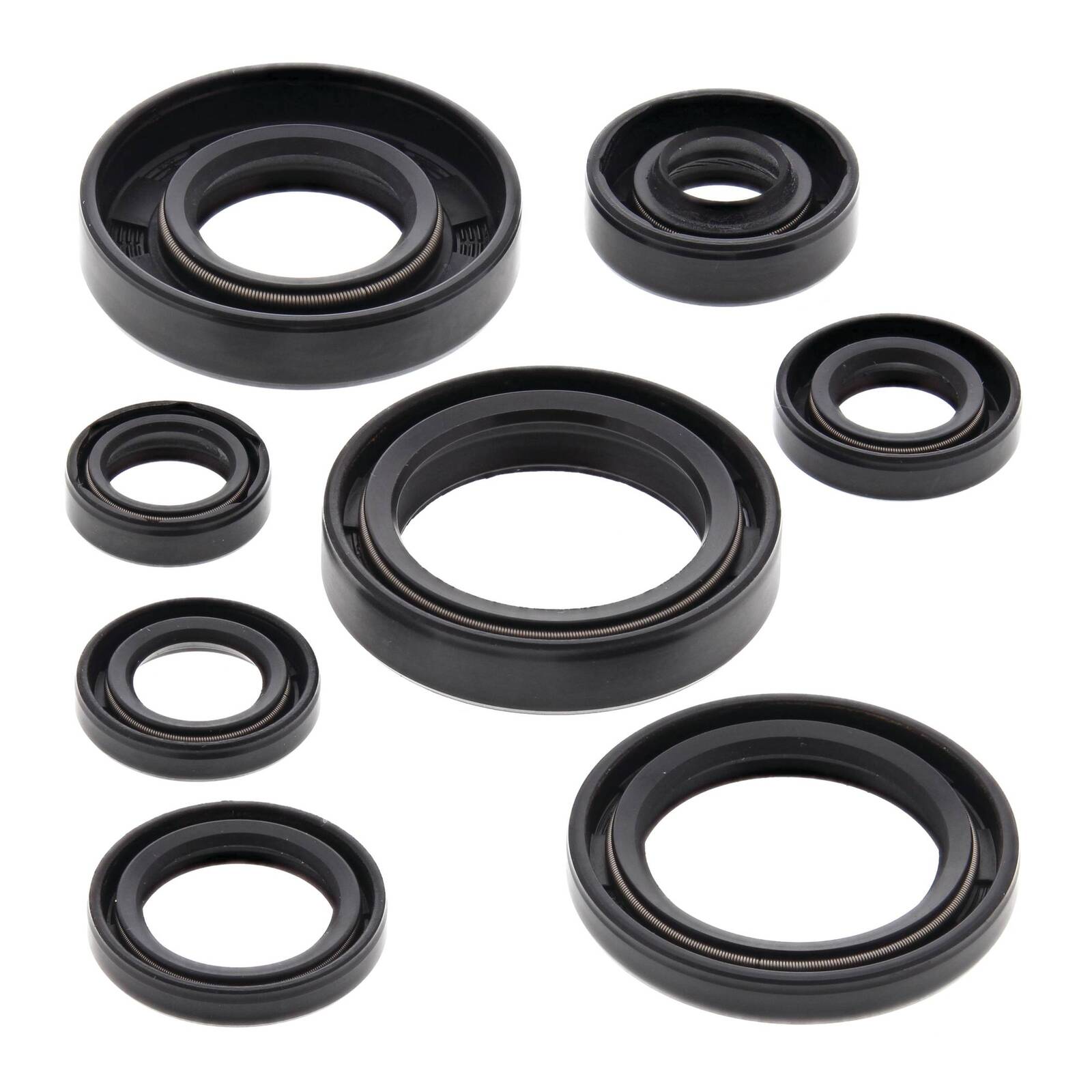 Oil Seal Kit 822173