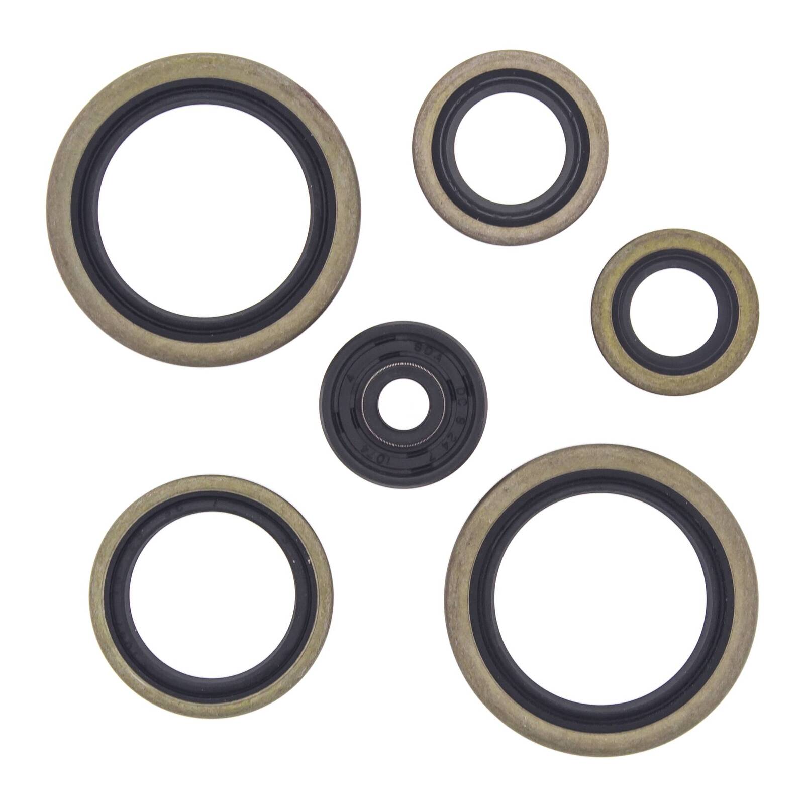 Oil Seal Kit 822187