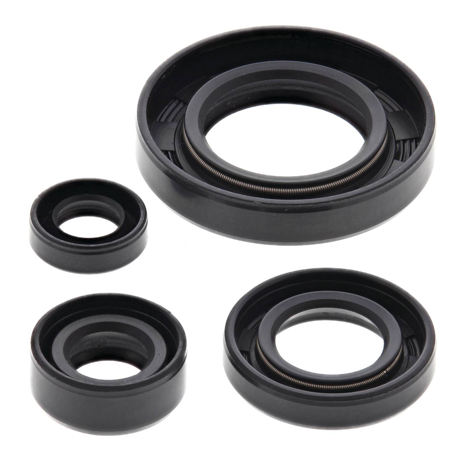 Oil Seal Kit 822195