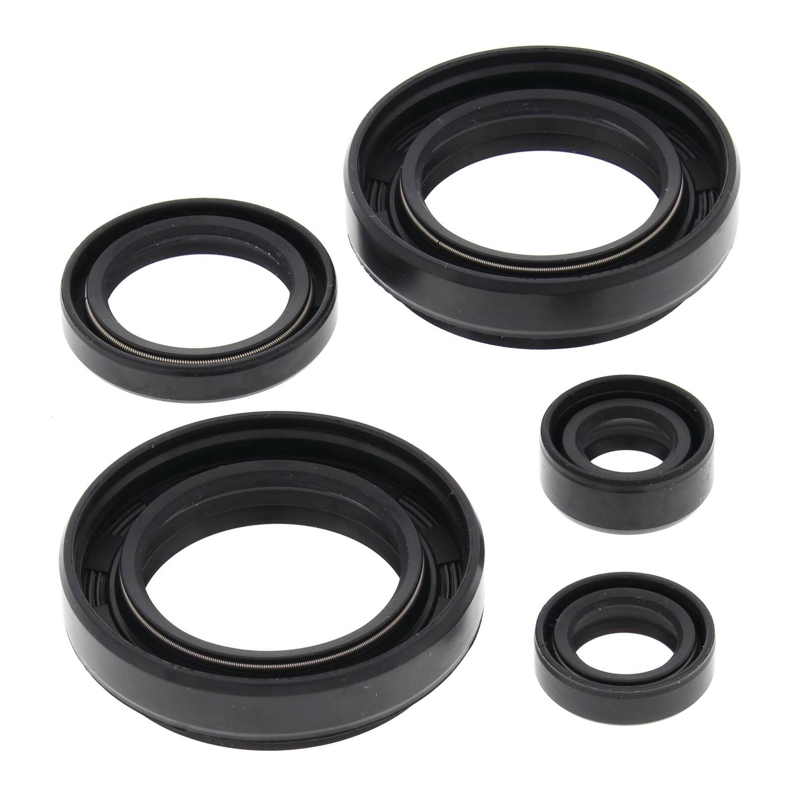Oil Seal Kit 822234