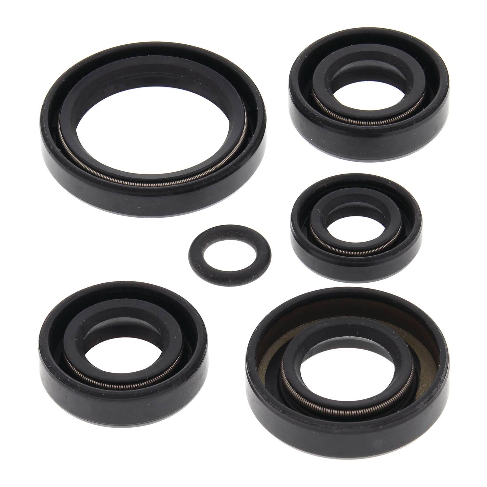 Oil Seal Kit 822242