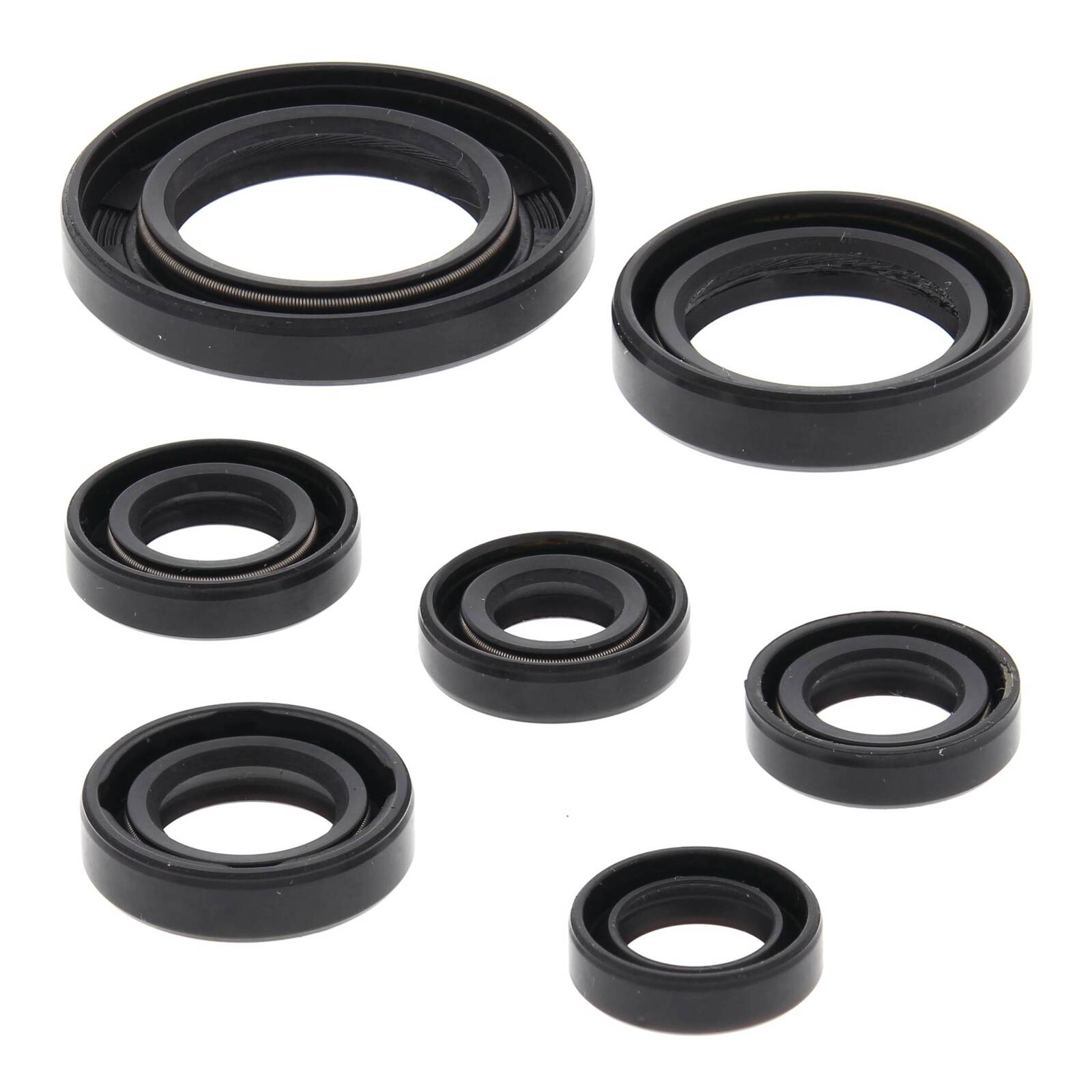 Oil Seal Kit 822311