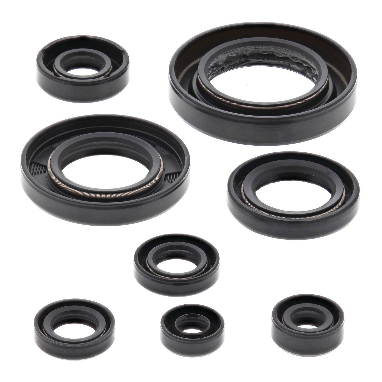 Oil Seal Kit 822354