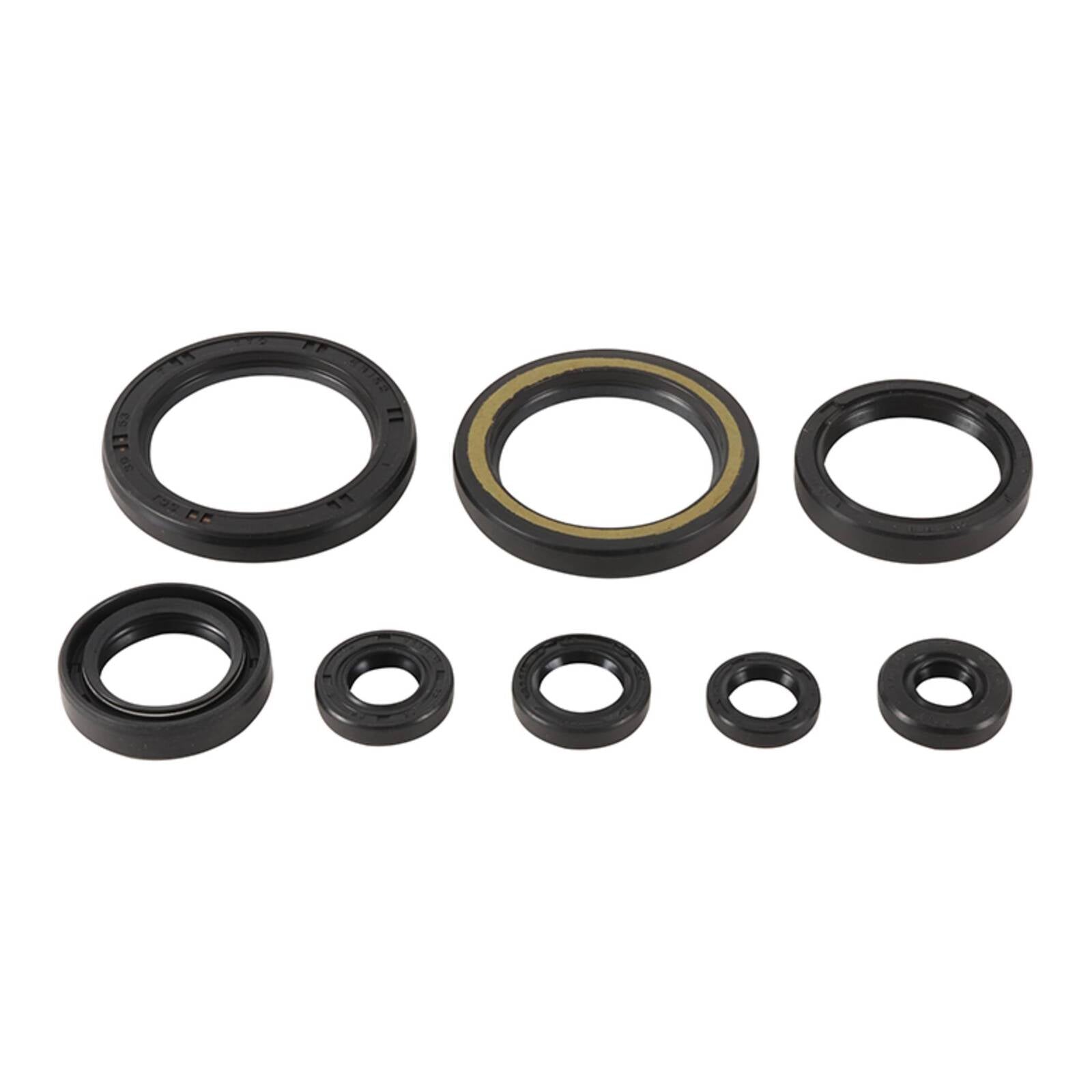 Oil Seal Kit 822378